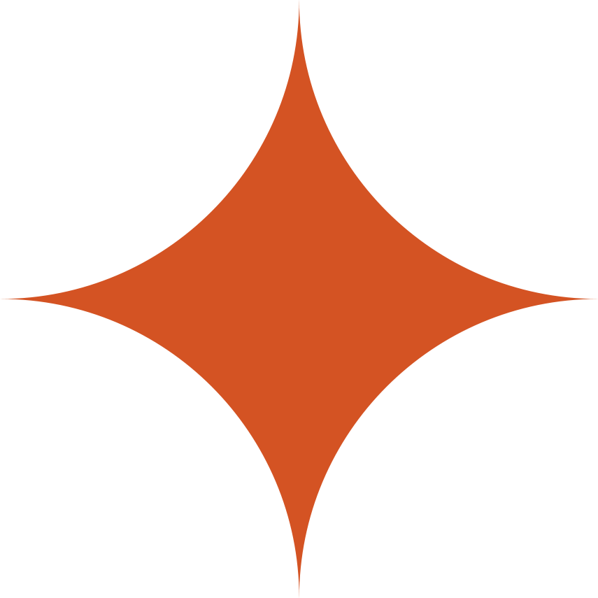 star bullet point